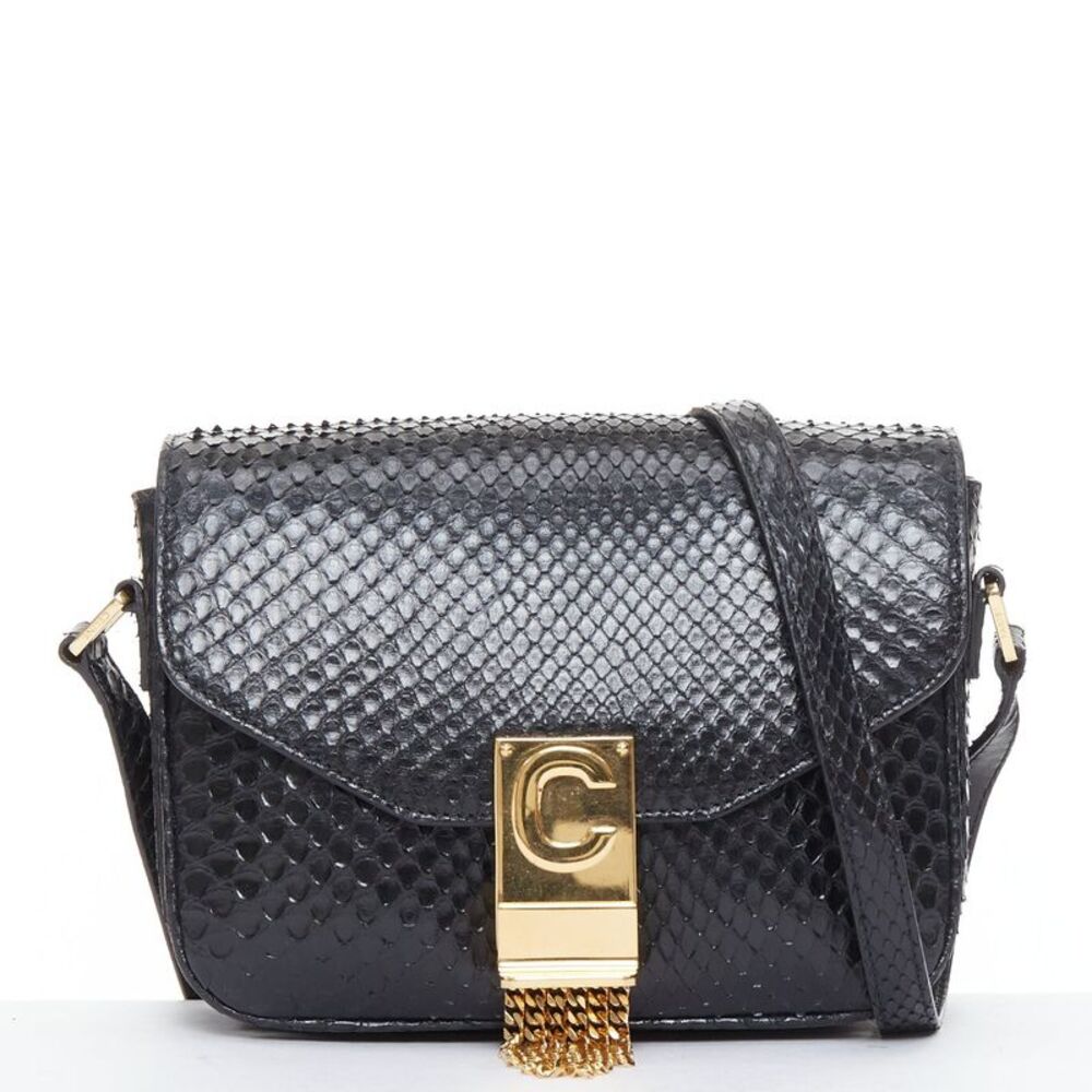 Celine C Bag Leather Fringe Crossbody Bag